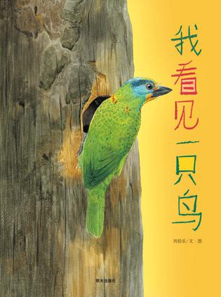 我看见一只鸟