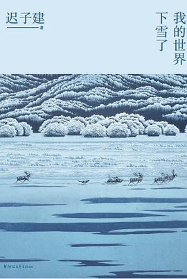 我的世界下雪了