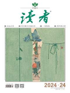 读者