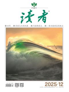 读者