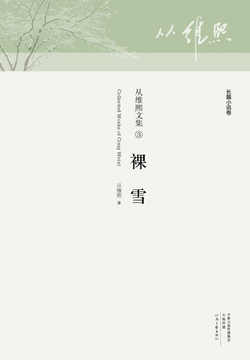 裸雪(从维熙文集3)