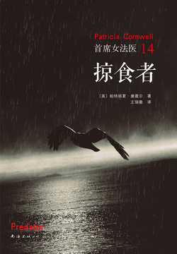 首席女法医14:掠食者