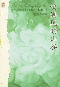 吹满风的山谷